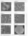 Fig. 01 - Microcapsule composition containing water-soluble amine and a process for the preparation thereof
