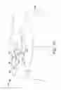 Fig. 07 - Trim piece for an apparel item