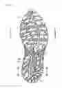 Fig. 02 - Sole structure for shoes and shoe with the sole structure