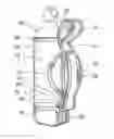 Fig. 01 - Handheld hydration holder