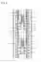 Fig. 03 - Height adjustable stand and a table comprising the same