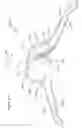 Fig. 100 - Single hand operated collapsing hanger