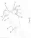 Fig. 11 - Single hand operated collapsing hanger
