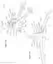 Fig. 111 - Single hand operated collapsing hanger