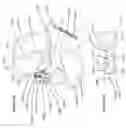 Fig. 133 - Single hand operated collapsing hanger