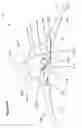 Fig. 134 - Single hand operated collapsing hanger
