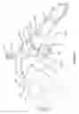 Fig. 15 - Single hand operated collapsing hanger