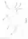 Fig. 35 - Single hand operated collapsing hanger