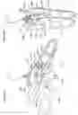 Fig. 48 - Single hand operated collapsing hanger