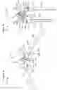 Fig. 58 - Single hand operated collapsing hanger