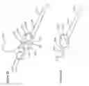 Fig. 62 - Single hand operated collapsing hanger