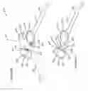Fig. 64 - Single hand operated collapsing hanger