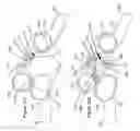 Fig. 76 - Single hand operated collapsing hanger