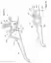 Fig. 78 - Single hand operated collapsing hanger