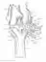 Fig. 01 - PATIENT-SPECIFIC PARTIAL KNEE GUIDES AND OTHER INSTRUMENTS