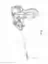 Fig. 08 - ANATOMICAL LOCATION MARKERS AND METHODS OF USE IN POSITIONING SHEET-LIKE MATERIALS DURING SURGERY