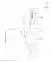 Fig. 06 - Prosthetic joint