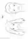 Fig. 02 - DEVICES TO BE USED FOR ACUPRESSURE