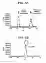 Fig. 03 - YEAST CELL WALL PARTICLES FOR RECEPTOR-TARGETED NANOPARTICLE DELIVERY