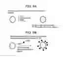 Fig. 07 - YEAST CELL WALL PARTICLES FOR RECEPTOR-TARGETED NANOPARTICLE DELIVERY