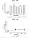 Fig. 08 - YEAST CELL WALL PARTICLES FOR RECEPTOR-TARGETED NANOPARTICLE DELIVERY