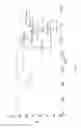 Fig. 02 - Sustained Release Formulation and Use Thereof