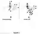 Fig. 02 - PANICEIN COMPOUNDS, COMPOSITIONS AND USES THEREOF