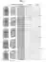 Fig. 02 - Composition comprising phosphodiesterase type 5 inhibitor for inhibiting apoptosis of nerve cells