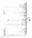 Fig. 02 - Bovine milk oligosaccharides