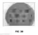 Fig. 05 - Bovine milk oligosaccharides