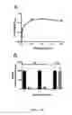Fig. 04 - COMPOSITIONS AND METHODS FOR TREATING PITUITARY TUMORS