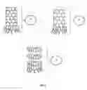 Fig. 04 - Artificial bacteriophage based on carbon nanostructures for supplying medicaments