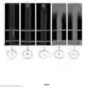 Fig. 07 - Artificial bacteriophage based on carbon nanostructures for supplying medicaments