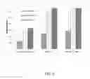 Fig. 04 - Methods and compositions for treating tendon degeneration