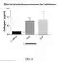 Fig. 07 - Methods and compositions for treating tendon degeneration