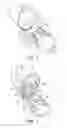 Fig. 02 - Dry powder inhaler
