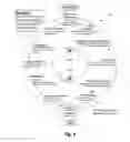 Fig. 06 - Sonification of biometric data, state-songs generation, biological simulation modelling, and artificial intelligence