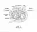 Fig. 02 - Multiple tunable central cathodes on a paddle for increased medial-lateral and rostral-caudal flexibility via current steering