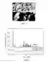 Fig. 02 - Process for preparing a molecular sieve