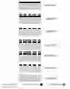 Fig. 13 - Methods and systems relating to dielectrophoretic manipulation of molecules