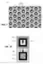 Fig. 06 - Supplemental sensor modes and systems for ultrasonic transducers