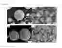 Fig. 03 - Metal powder, feedstock, and preparation method therefor