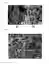 Fig. 07 - Metal powder, feedstock, and preparation method therefor