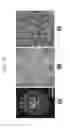 Fig. 09 - Metal powder, feedstock, and preparation method therefor