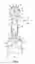 Fig. 03 - POWER TOOL