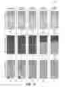 Fig. 14 - Laminated can end stock with elevated temperature annealing