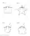 Fig. 07 - Sheet-like goods with string