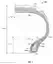 Fig. 02 - Tire with bead regions having multiple bead fillers