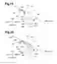 Fig. 16 - Image reading apparatus