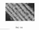 Fig. 09 - Urea fertilizer compositions comprising rice hulls and methods of use